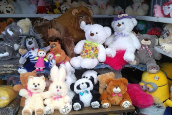 Фотография к новости: Казахстанца с 8 тоннами мягких игрушек задержали на границе с Россией