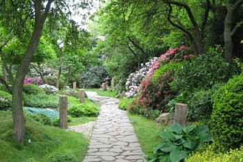 Фотография к новости: "Научную зону" создадут в Ботаническом саду Астаны