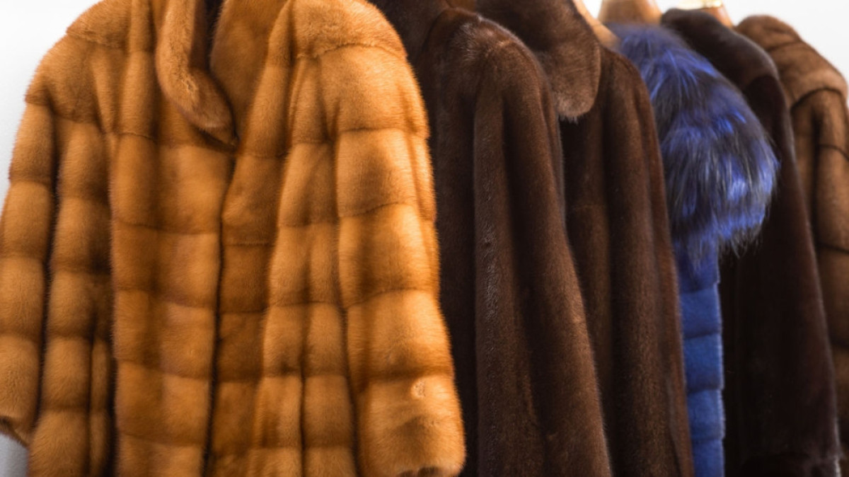  Из открытых источников