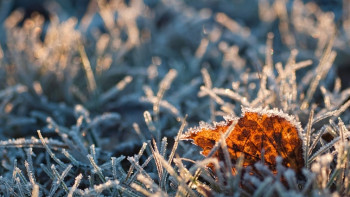 Фотография к новости: Шторм и заморозки обещают синоптики астанчанам 