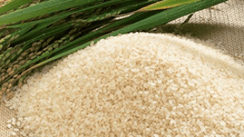 Фотография к новости: Производство риса в Казахстане сократилось на 26%