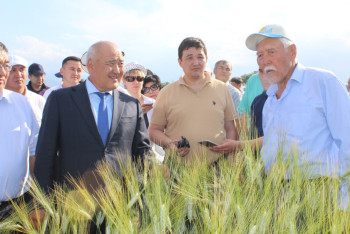 Фотография к новости: Экономический эффект от цифровизации АПК составит 40 млрд тенге до 2025 года