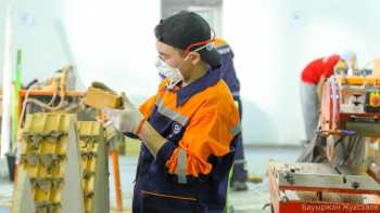 Фотография к новости: 300 тысяч студентов планируют вовлечь в дуальное обучение в Казахстане за 5 лет