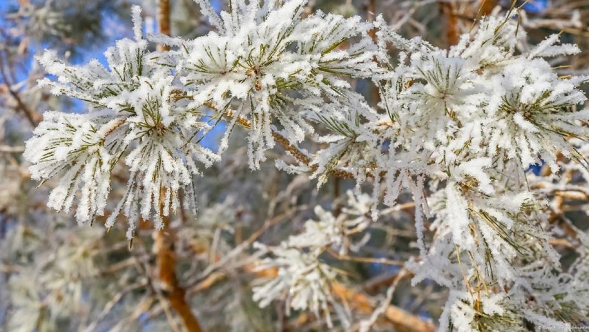  Бауыржан Жуасбаев 