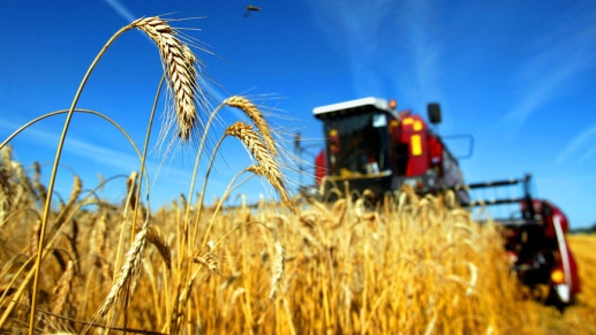  Monitorul Fiscal - Fisc.md