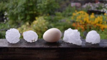 Фотография к новости: Град размером с перепелиное яйцо выпал в ВКО