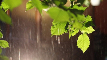 Фотография к новости: Кратковременные дожди с грозами ожидаются в Казахстане 6 июля