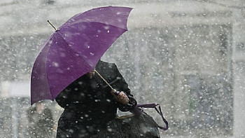 Фотография к новости: Дождь и мокрый снег спрогнозировали синоптики в Казахстане