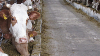 Фотография к новости: Цифровизацию активно внедряют в своих хозяйствах аграрии и фермеры СКО