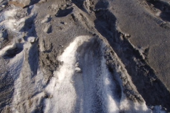Фотография к новости: Черным снегом и серым смогом над городом возмущены темиртаусцы