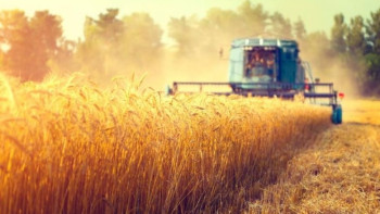 Фотография к новости: Львиную долю бюджета в Акмолинской области направят на развитие сельского хозяйства