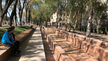 Фотография к новости: Больше 1000 деревьев появятся на проспекте Абая в Алматы