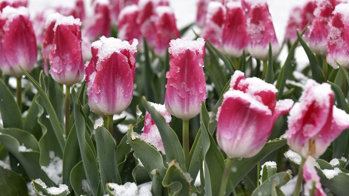  Из открытого источника 