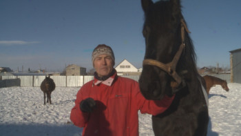 Фотография к новости: Полвека не расстаётся с лошадьми знаменитый коневод из Кокшетау