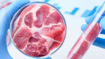 Фотография к новости: Учёные разработали новый способ проверки свежести мяса