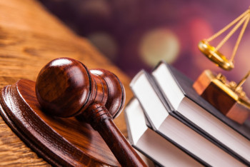 Фотография к новости: Мать убитых близнецов просит суд не лишать ее родительских прав