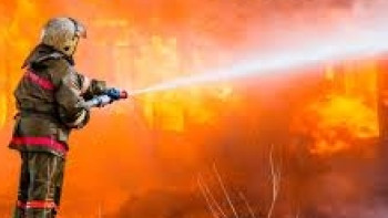 Фотография к новости: 100 голов крупнорогатого скота погибло во время пожара в Алматинской области