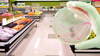 Фотография к новости: Свыше 700 килограммов опасных продуктов питания уничтожили в Актобе