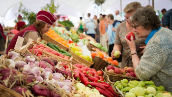 Фотография к новости:  Ярмарка-выставка "Ақмола өнімдері" пройдёт в Кокшетау 