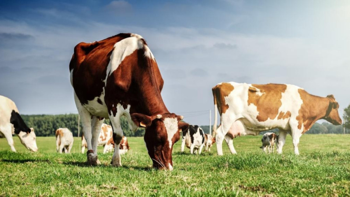  Из открытых источников