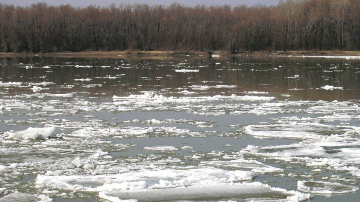  Иллюстративное фото 