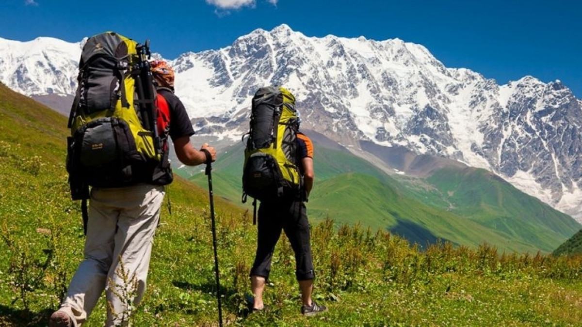  Из открытых источников 