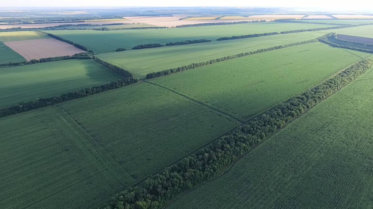  Из открытых источников 