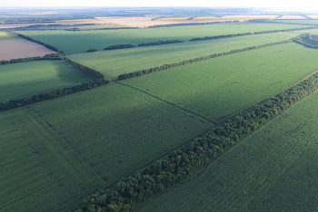 Фотография к новости: Упростить порядок получения земельных участков для СЭЗ предлагает МИР РК