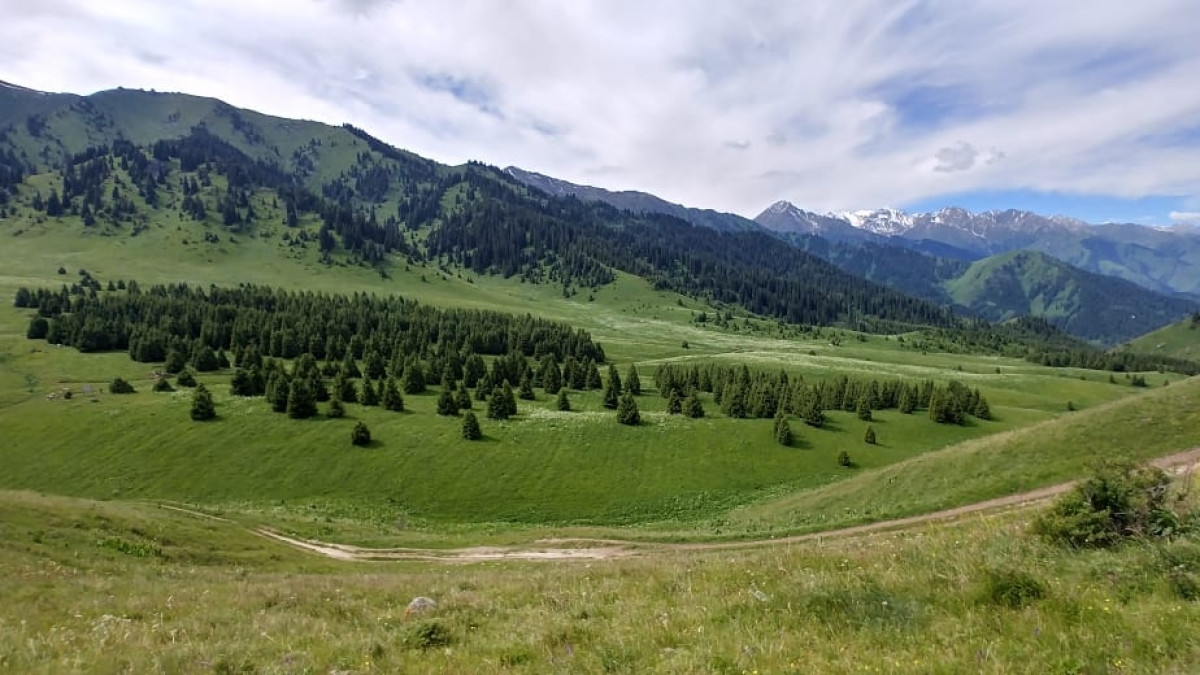  пресс-служба акима г. Алматы