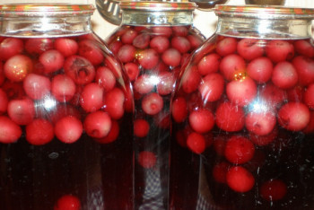 Фотография к новости: Домашний компот стал источником распространения гепатита А среди школьников Караганды 