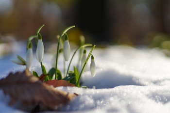 Фотография к новости: Синоптики рассказали о погоде в Казахстане 7 марта