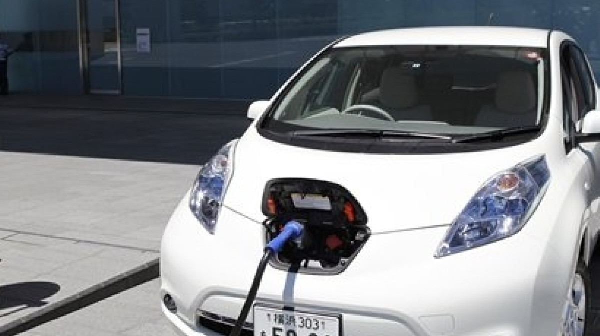  Фото с сайта tenerifenovosti.ru.