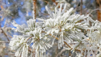 Фотография к новости: Синоптики прогнозируют осадки на всей территории РК 20 февраля