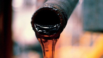 Фотография к новости: Cотрудники хранилища солярки выкрали горючего на 30 млн в Туркестанской области 