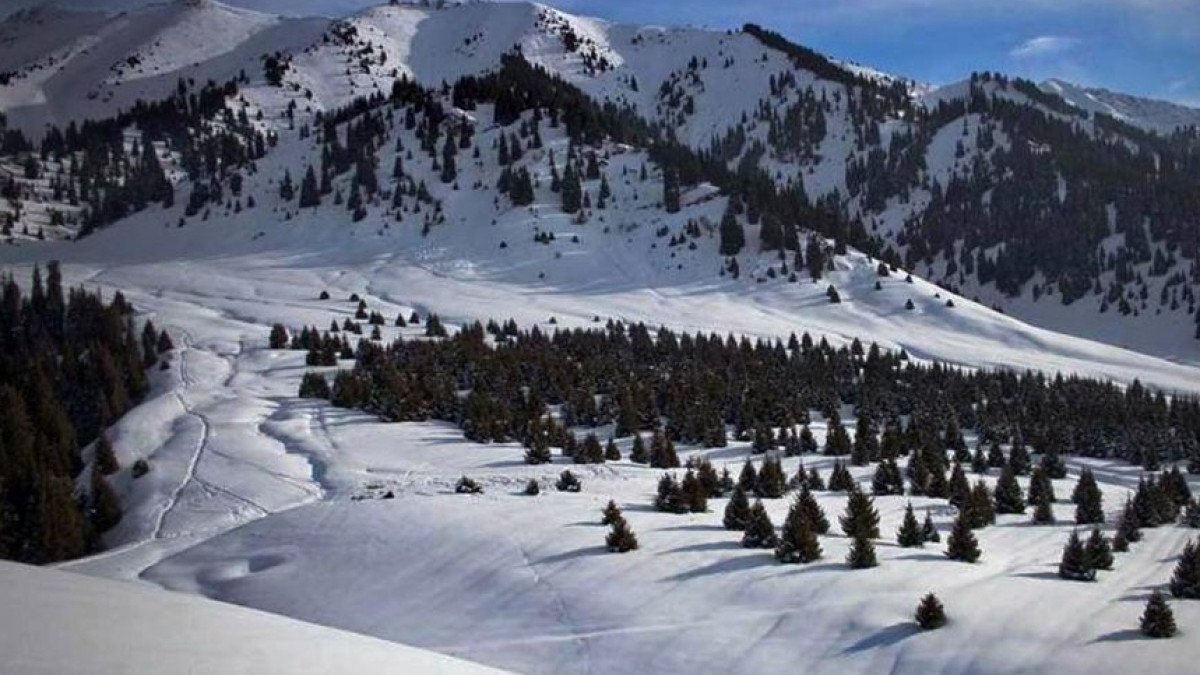  Из открытых источников