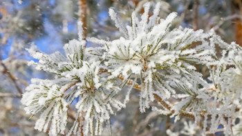 Фотография к новости: Синоптики рассказали о погоде в Казахстане на выходные 