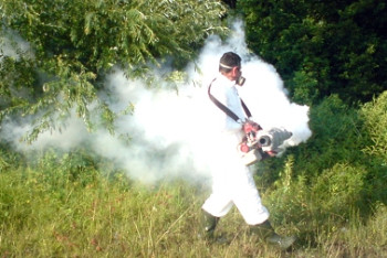 Фотография к новости: В Алматы начали противоклещевую обработку городских парков