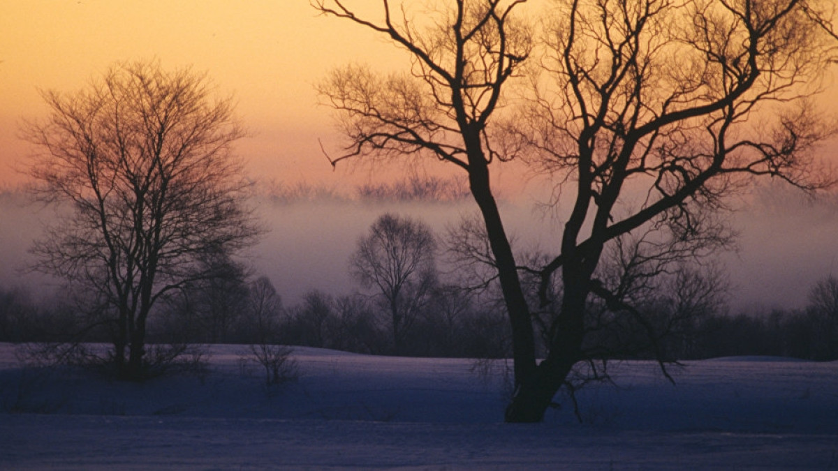  Sputnik Казахстан