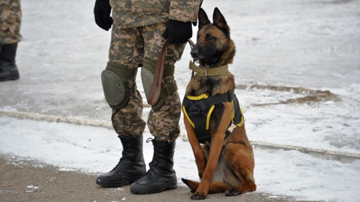  Из открытых источников 