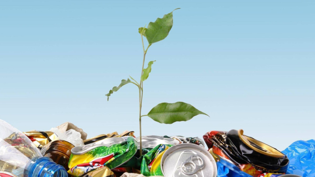  Из открытых источников