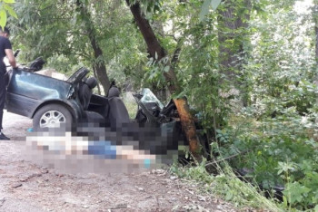 Фотография к новости: Дерево упало на машину под Алматы: погибли водитель и пассажир