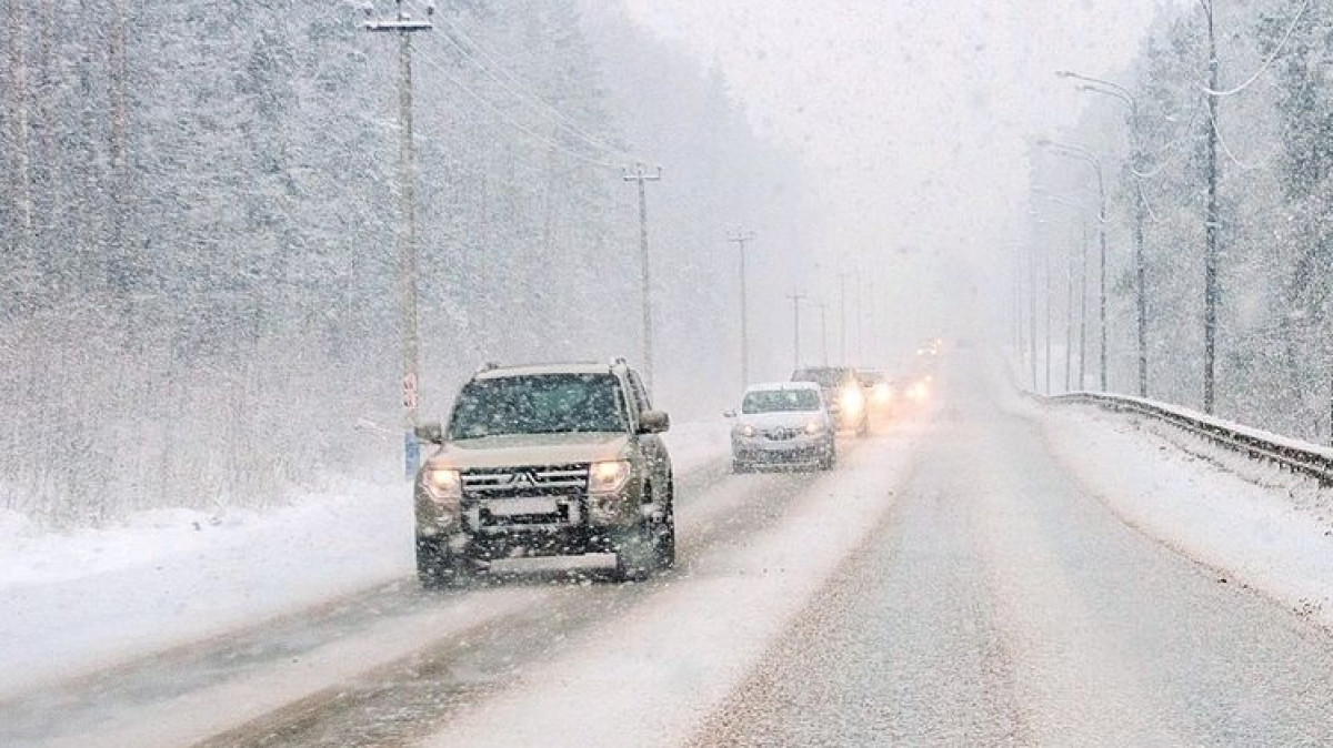  Фото из открытых источников