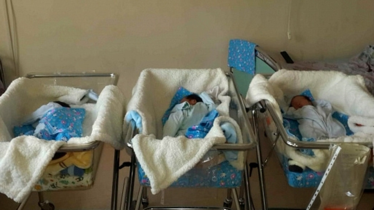  Пресс-служба акима ЮКО