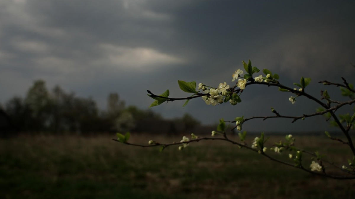  Из открытых источников 