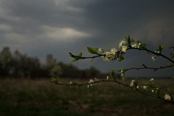 Фотография к новости: Гроза, пыльная буря и град ожидаются на юго-востоке страны 18 апреля 