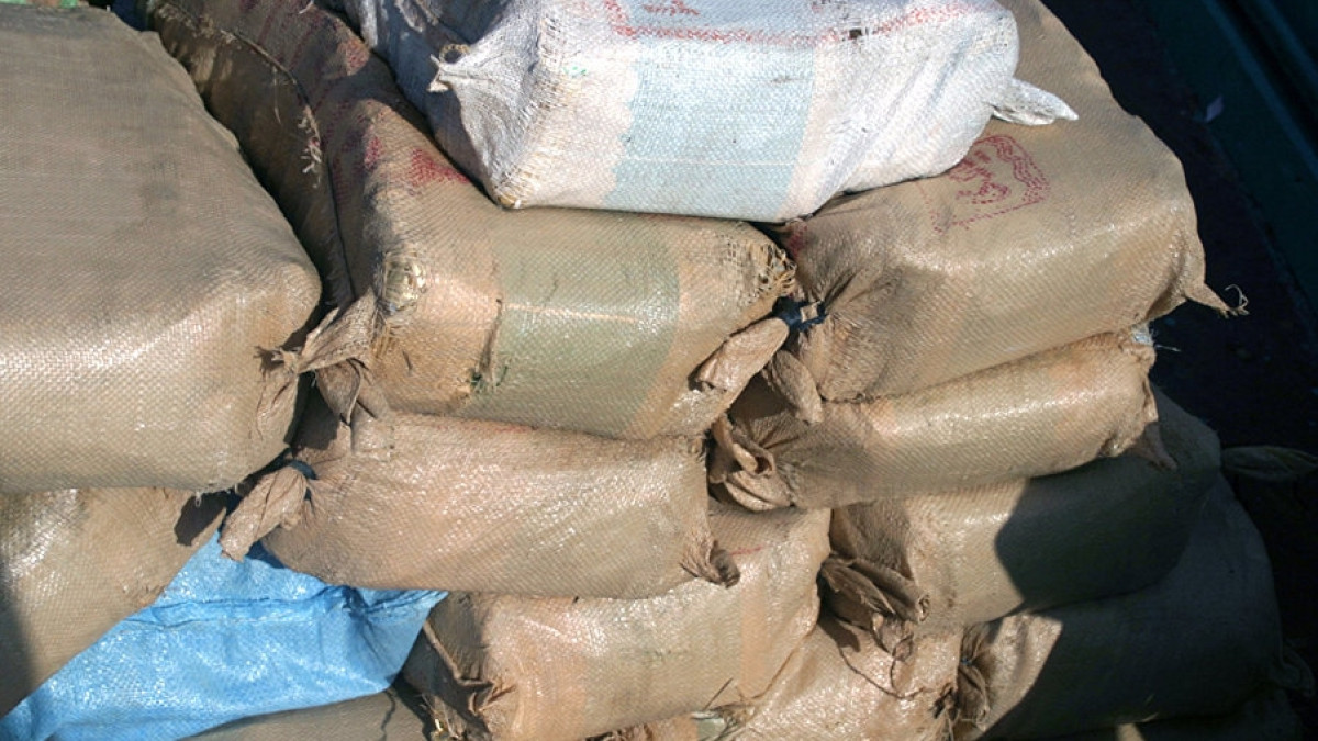  Из открытого источника 