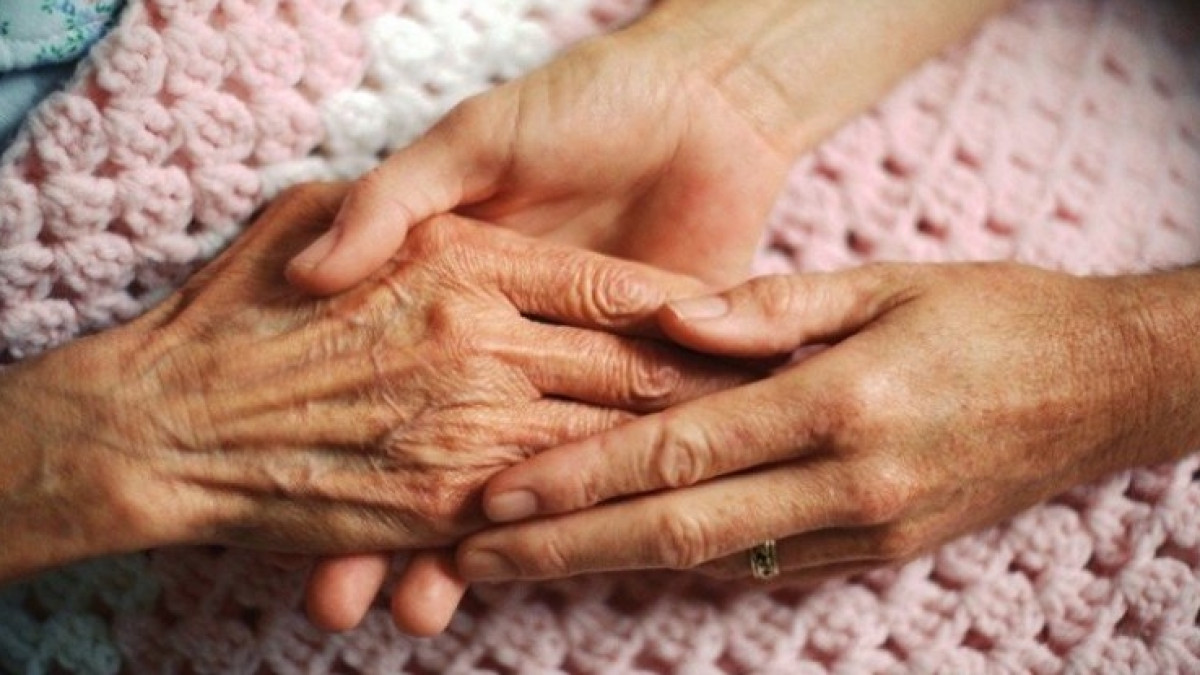  Иллюстративное 