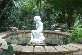 Фотография к новости: Петропавловцы обратились за помощью к Президенту