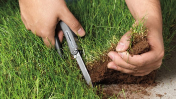 Фотография к новости: Акимат выкупил 109 земельных участков алматинцев на сумму 4,1 млрд тенге