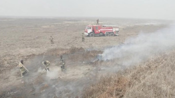 Фотография к новости: Пожарные ликвидировали возгорание 18 га резервата в Атырауской области